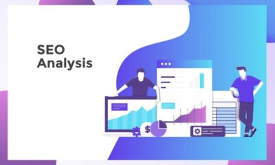 SEO Performance Analysis