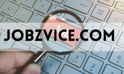 jobzvice.com