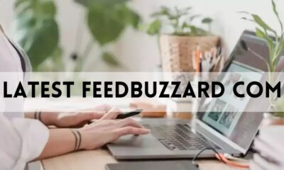 latest feedbuzzard com