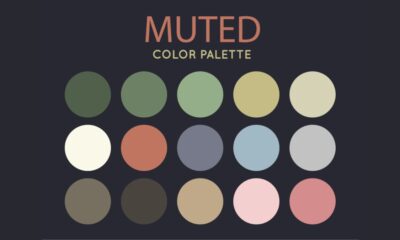 muted colors