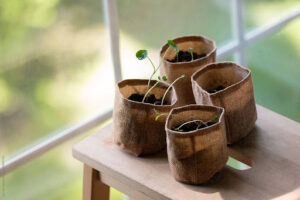 Burlap Bags