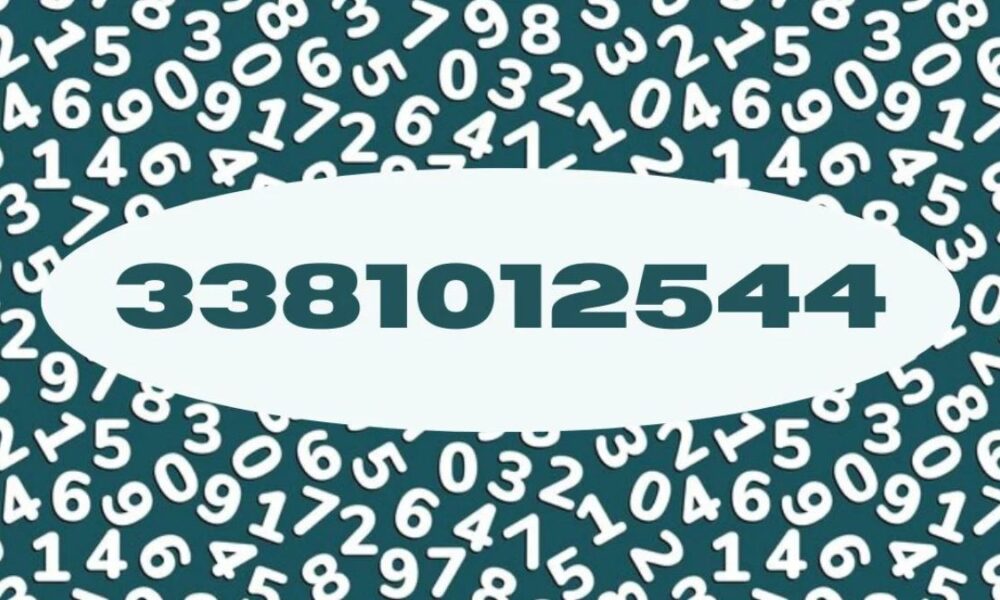 3381012544