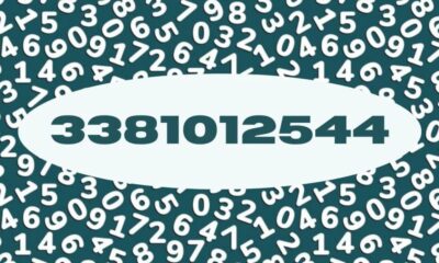 3381012544