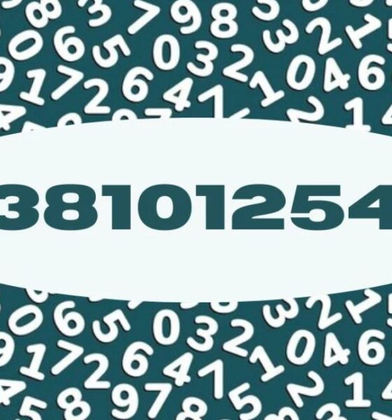 3381012544