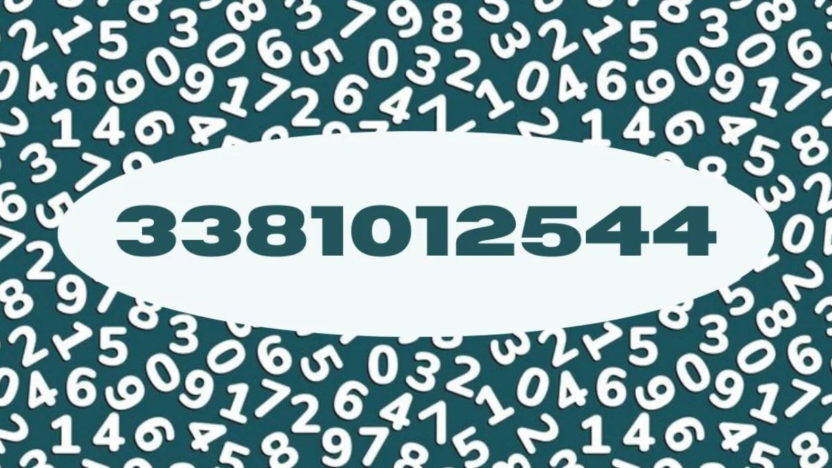 3381012544